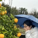 지애목장 이미지