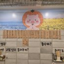 제주청년돼지 | 전곡맛집 | 제주청년돼지 연천고깃집 솔직후기