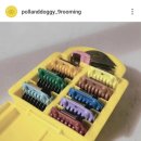 폴앤도기 이미지