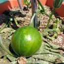 반구2동행정복지센터 이미지