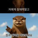 KBO 현역 투수 통산 탈삼진 순위 이미지