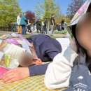 꽃뜰 호스텔 | [네덜란드&amp;벨기에] 튤립보러 삼만리