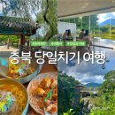 백조막국수 | 충북 당일치기 여행, 제천 의림지에서 뭐 하지? (막국수, 용추폭포)