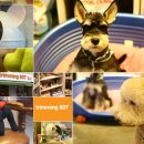 트리밍807 이미지