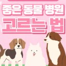 오케이동물병원 이미지