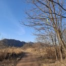 원주굽이길 7코스 태조왕건길 이미지