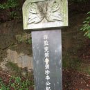 육우당 Daum카페