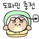 진댄스아카데미 이미지