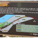웅포금강변 Daum카페