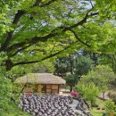 294-2-000019 | 충남 논산 여행 - 탑정호 출렁다리, 명재고택, 노성향교, 노성 궐리사, 종학당