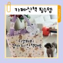 강아지산책 | 디얼퍼피 강아지 산책매트 내돈내산 후기 ㅡ 카페·산책 필수템으로 제티 크리스마스 선물