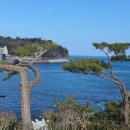 삼밭협동조합 | 거제 장승포항 '삼밭카페' 오션뷰인데 가격까지 착한 곳 내돈내산