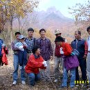 400015 Daum카페