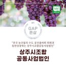 2025 GAP 인증 우수사례 경진대회 은상 "상주시조합공동사업법인"