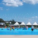 성남신기초등학교 이미지