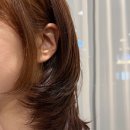 별빛살롱 네이버블로그