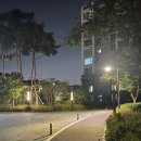 고덕경희온누리약국 | EP.4 강직성척추염 생물학제제 유플라이마 첫 주사 후기