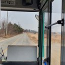 신하초 후문 앞 이미지