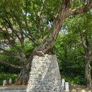 장산보건지소 이미지