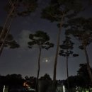 달과 별 이미지