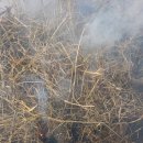 김제연농장 이미지