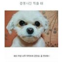 사진관온김에 - 중구 중앙로164번길 22-12 | 사진관온김에