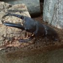 평창농원 이미지