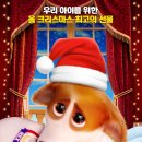 프린스펫 - 제주시 구산로 7 | 프린스펫