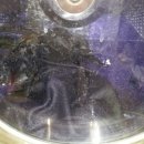 이편한명품세탁소 이미지