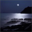 허상과 실상의 공존 이미지