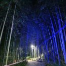 구례의길(섬진강길) 이미지