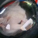 미소정육식당 이미지