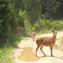 다산농원 이미지