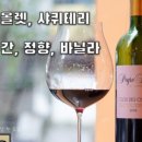 씨스테이지 이미지