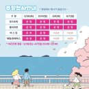 장승포해안로 네이버블로그