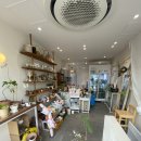 다이소 앞 횡단보도 이미지