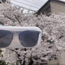 이마트안경전문점 | 언니로 만들어주는 선글라스 겟🕶️ 일본 호야 누진다초점렌즈부터 어린이 토마토 안경 전문점이 은평구에?