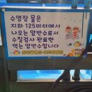 상아골계곡오토캠핑장 네이버블로그