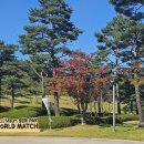 스톤게이트C.C 이미지