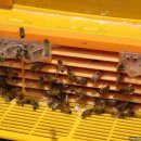 서암농장 이미지