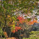 무등산&샤브샤브 이미지