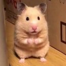 주식회사 오토월드 자동차 | 타이어 편마모?단차마모? 그게 뭔가요?? -증상 및 관리방법-