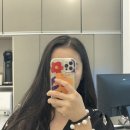 펠로살롱 이미지