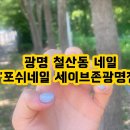 광명 철산동 네일 포쉬네일 세이브존광명점 이달의아트