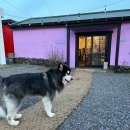 레프트핸더 스테이 | [제주] 정성 가득 조식이 맛있는 레프트핸더 게스트하우스