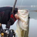 모차모텔 이미지