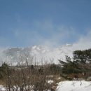 2010년 1월 10일 한라산 돈네코-윗세오름-어리목 이미지