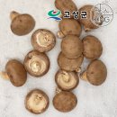 웅이농장 이미지