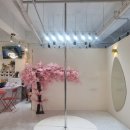 비너스짐 이미지