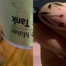 여우손톱 - 송파구 가락로39길 21 | 여우손톱